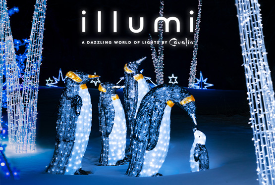 January Event Illumi - A Dazzling World of Lights by Cavalia