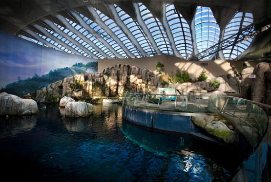 Montreal Biodome