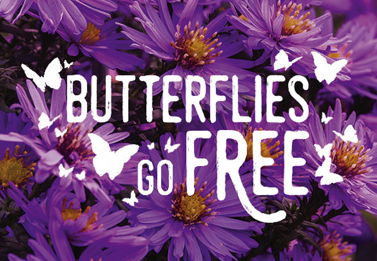April Event Butterflies Go Free